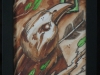 zbird